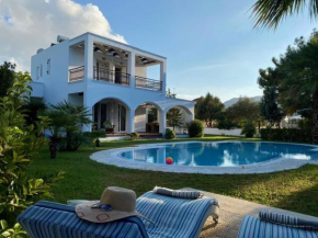 Villa Sofia with garden, pool and lounge areas